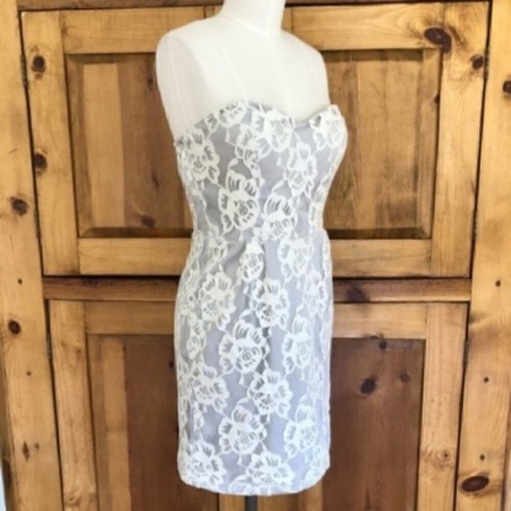 minuet Dress M Strapless Lace Overlay Gray Floral